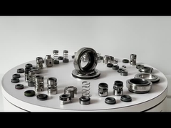 Grundfos GLF-SPK-12mm SPK 2/4 Klima Pompası Mekanik Mühür değiştir