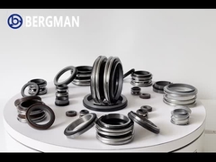 CAR CER Mekanik Mühür Burgman MG1 12mm Bellows Su Pompası Mühürleri