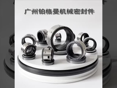 John Crane 502 Su Pompası Sanayi Pompaları İçin Mekanik Mühür 100mm