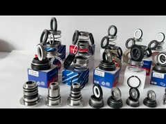 EA560D Burgmann Pompası Mekanik Mühür WQ Dalgıç dengesiz